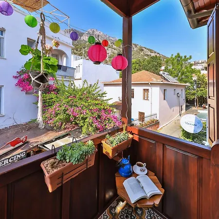Apartment Lavantakas 2 50 Mt To Long Bazaar In Square